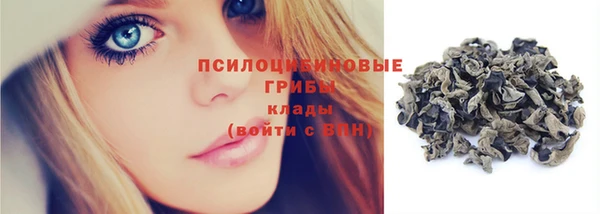 шишки Покров